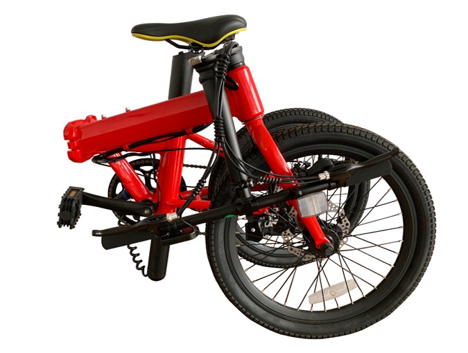 electric bike with double battery