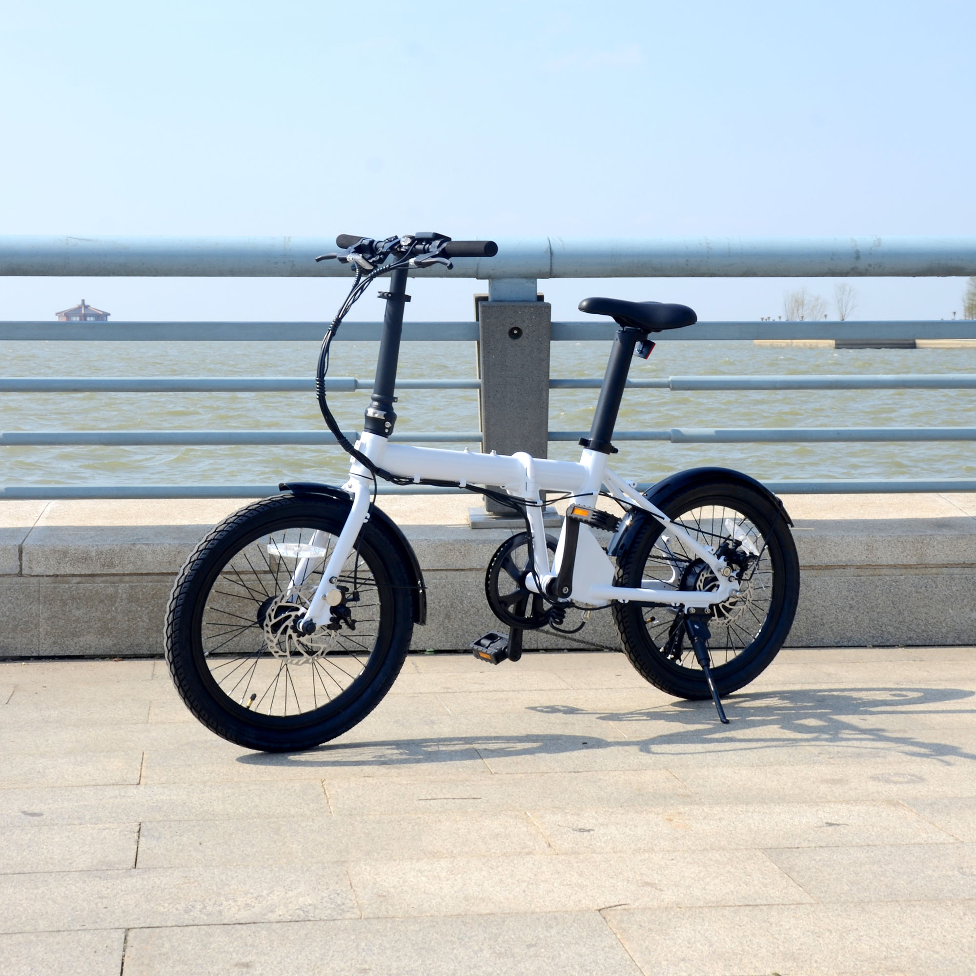 20 inch folding electric bike
